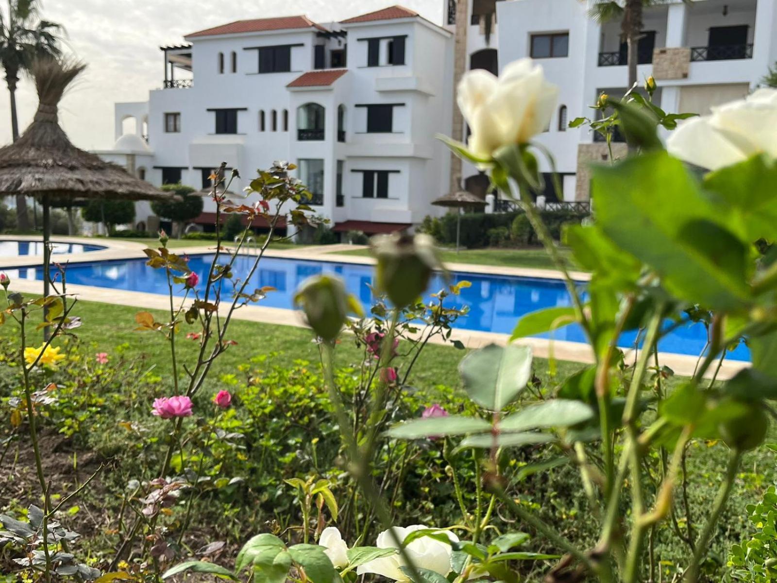 Lilac'S Garden Vue Piscine M'Diq Eksteriør bilde
